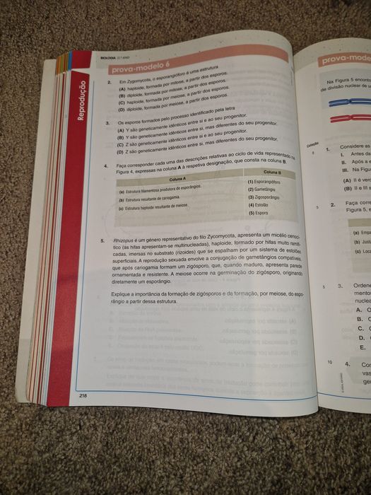 Preparar o exame nacional Biologia e Geologia 11°ano