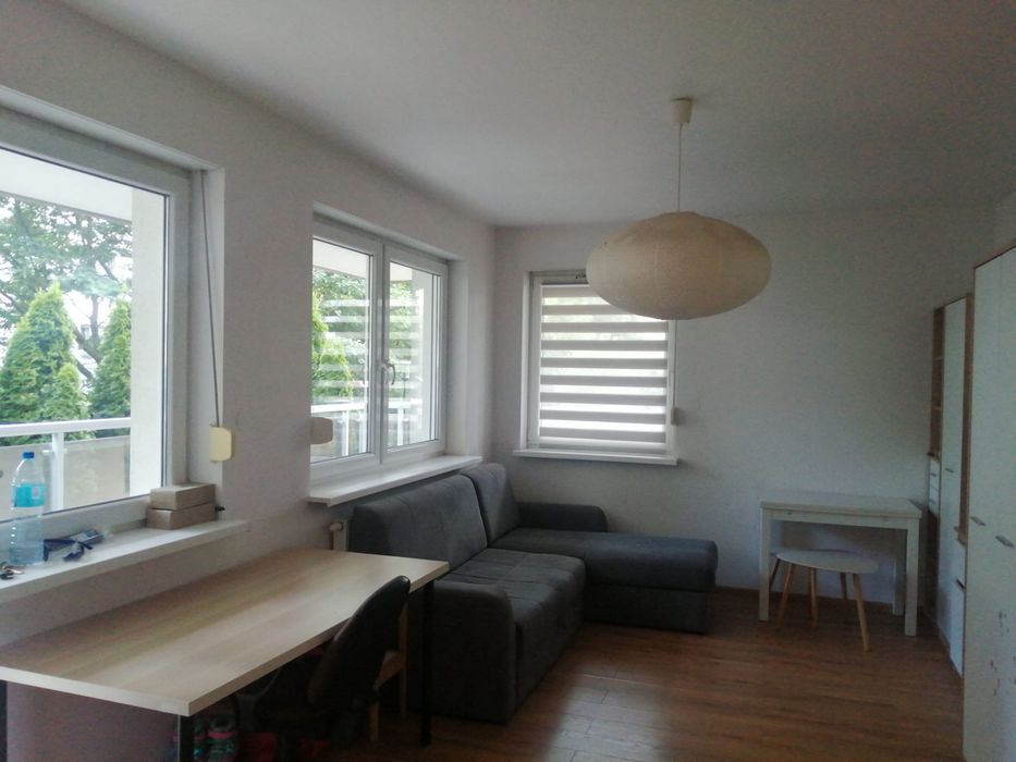 Mieszkanie na wynajem - 50 m² na Marcelińskiej - Widok 4