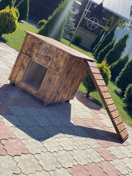 Буда для собак (кошенят)