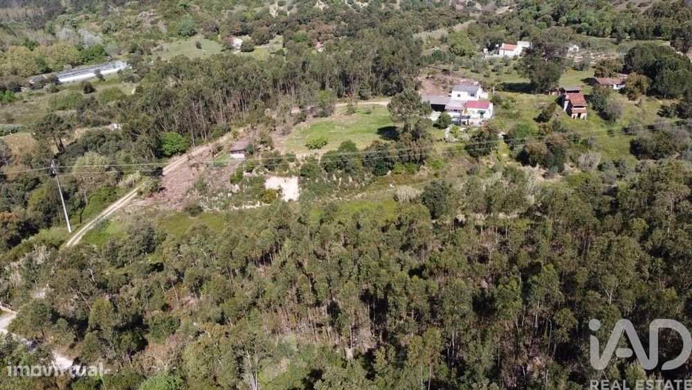 Terreno em Amiais de Baixo