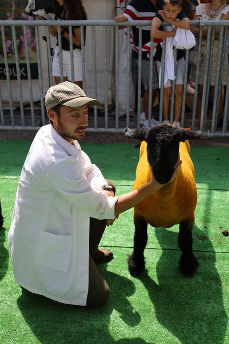 Passeios de cães com responsabilida e amor