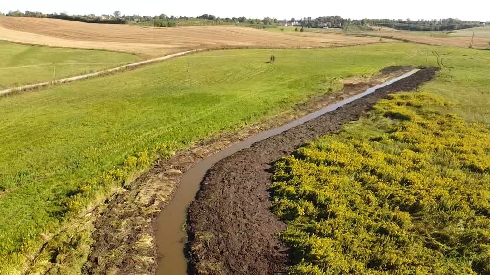 Melioracje wycinka rekultywacja prace ziemne spycharka koparka mulczer