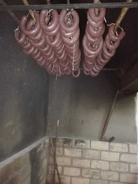 Quinta no Douro com terrenos e casa