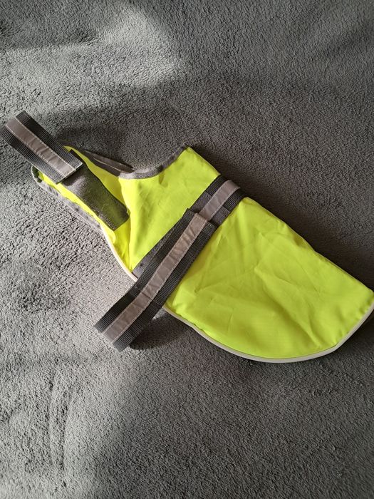 Одежда для собак разных размеров