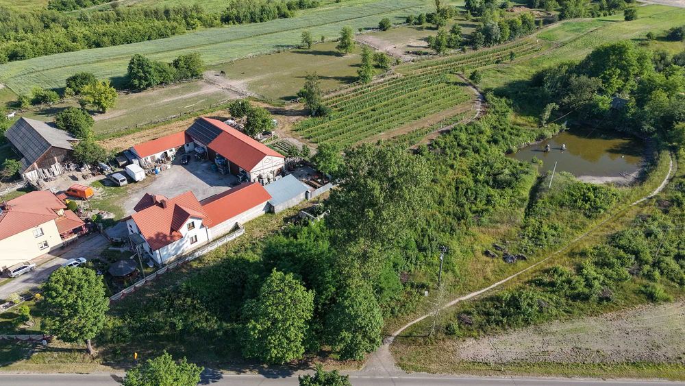 Działka pod zabudowe Przytyki - Widok 2
