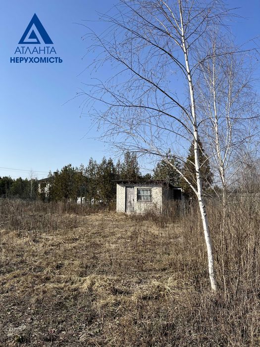 Пропонуємо до продажу 2 суміжні земельні ділянки  в селі Озерце.