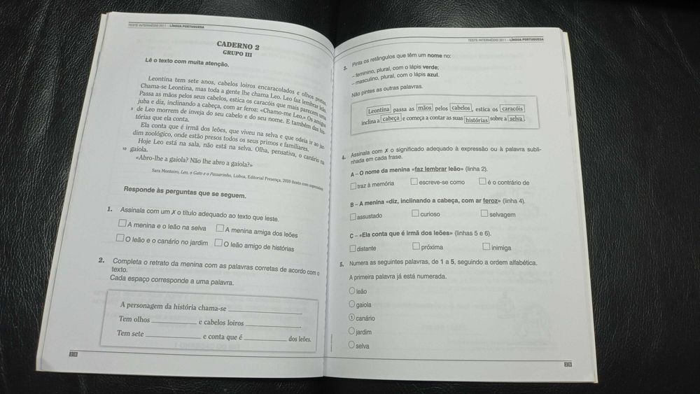 Preparar os testes intermédios 2