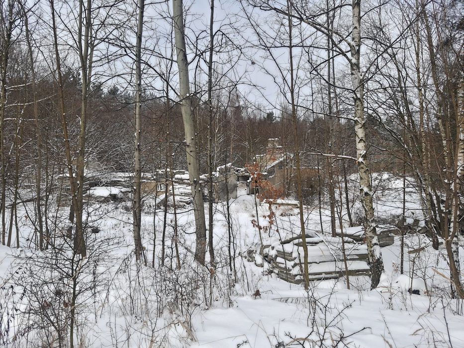Unikatowy teren inwestycyjny 9 672 m² z historią fermy drobiu - Widok 5