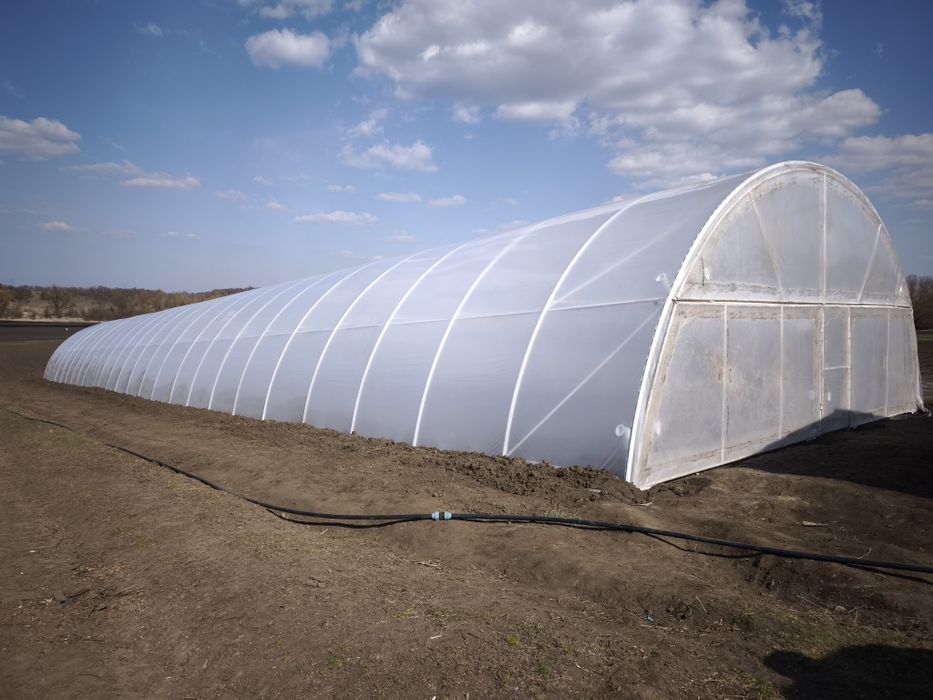 Теплиця 10×50 літній розпродаж