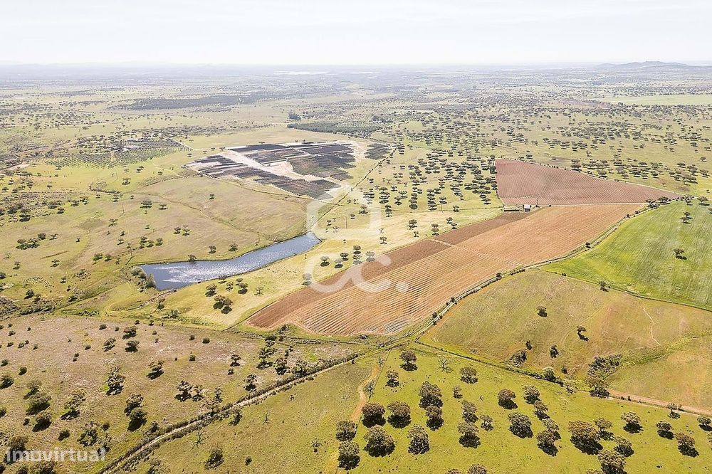 Herdade de 36 ha c/ Vinha, Montado, Recursos Hídricos e Potencial Turí