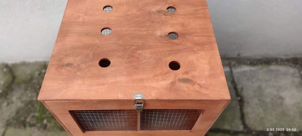 Królik Transporter 50