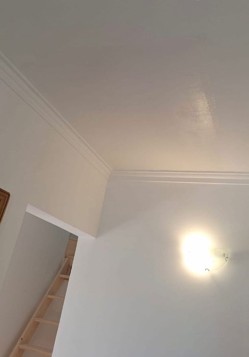 Profissional de Pinturas