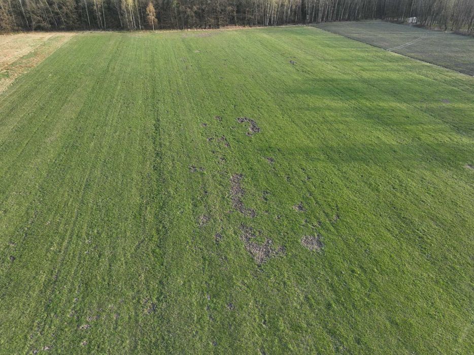 Dokumentacja szkód w uprawach, szkód łowieckich dronem + mapa