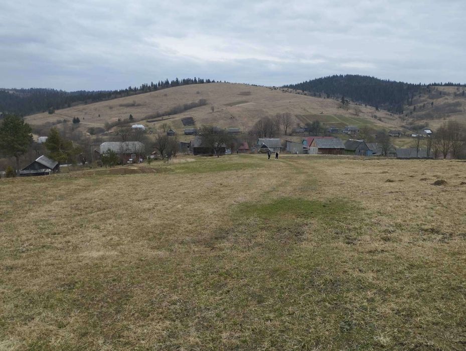 Ділянка у курортній зоні Карпат 80 сот.Обмін