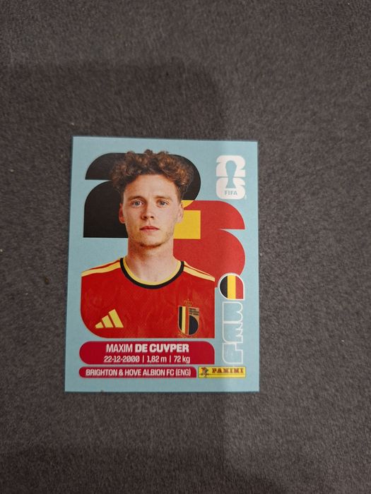 Naklejka Panini BEL7