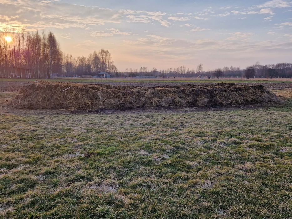 Sprzedam obornik bydlęcy
