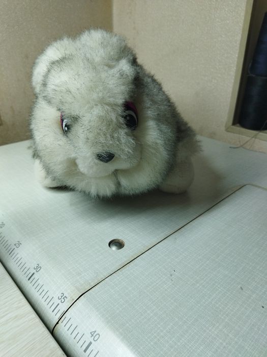 Заєць м'який здоровий,новий!