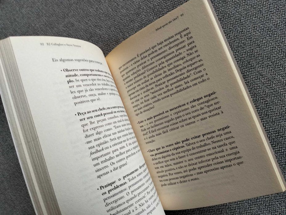 Livro "Afinal quem são eles" de BJ Gallagher e Steve Ventura