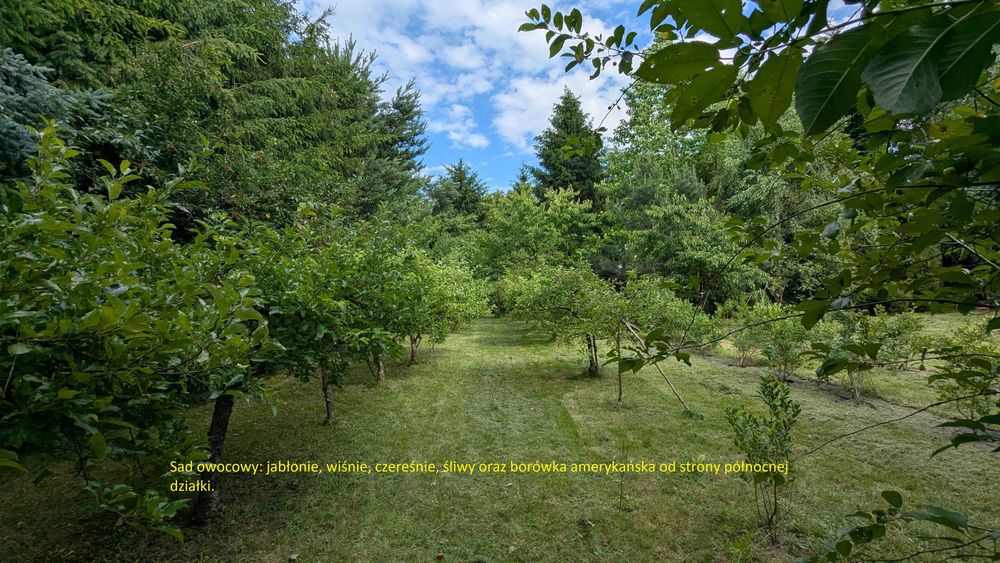 Działka budowlana 19a Tomaszowice Kolonia - Widok 5