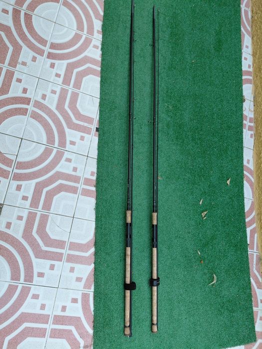 2 canas Shakespeare skp B1 para carpa, barbo e lucioperca  ao fundo
