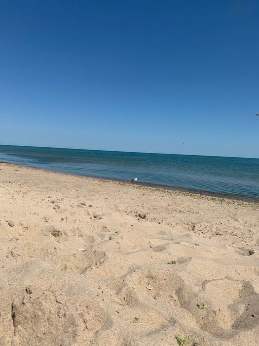 Відпочинок на морі, готель Променад,  Кароліно-Бугаз/Золотий берег