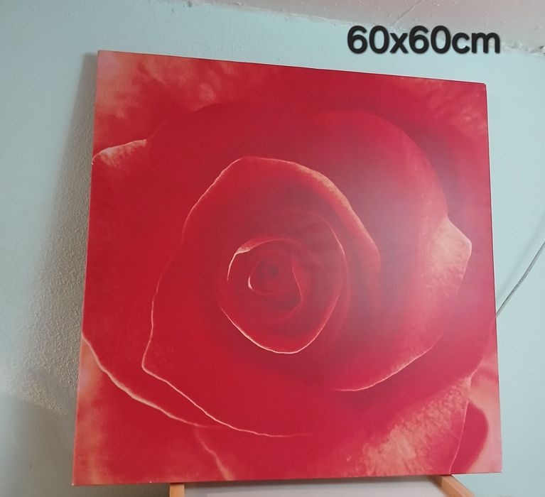 Quadro  /  Tela    60 x 60 cm