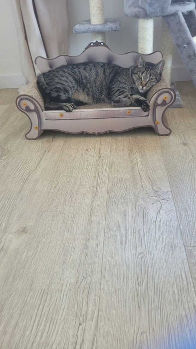 Drapak sofa dla kota legowisko kanapa do drapania zwierzęta kot