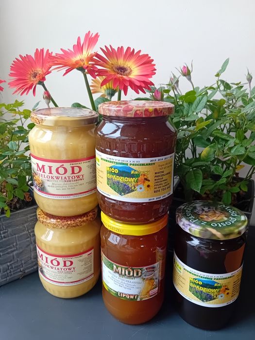 Miód Stowarzyszenia EKO-Bieszczady