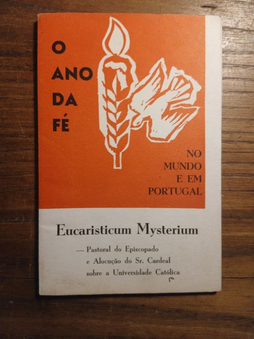 O Ano da Fé, Livro
