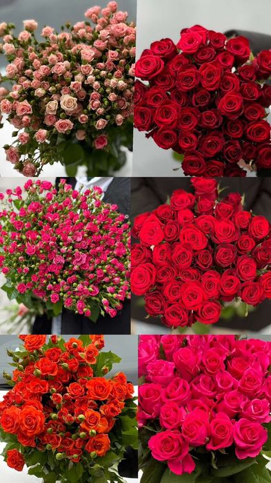 Роза Троянда Квіти від виробника з доставкою по Україні