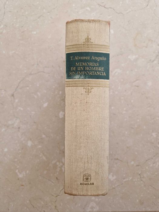 Memorias de un hombre sin importancia