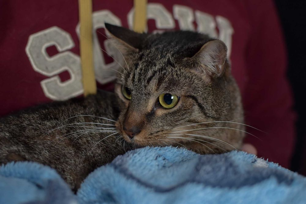 Jakiż to chłopiec piękny i młody? Świteź!