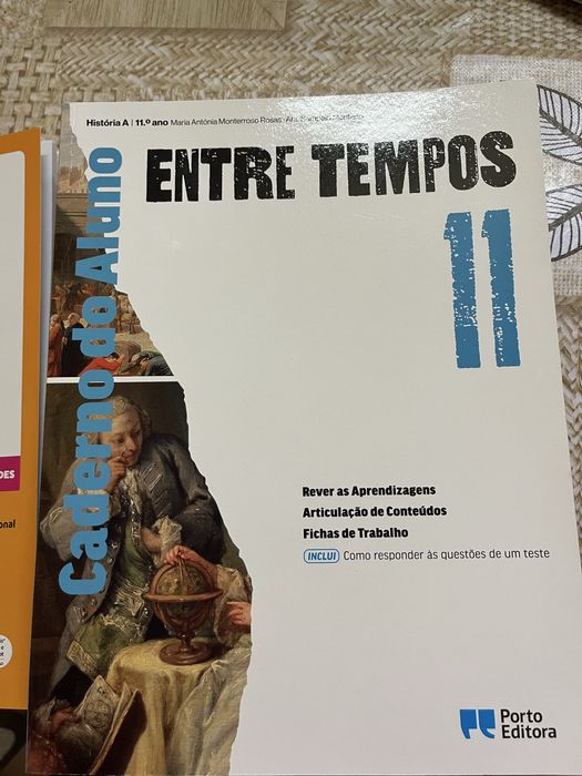 Cadernos de atividades 11ano