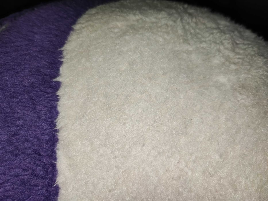 Krowa Milika fioletowa
