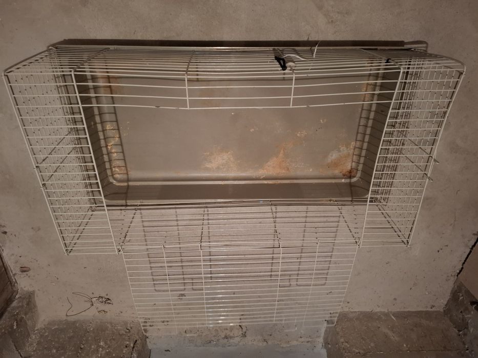 Klatka na ptaki i zwierzęta.