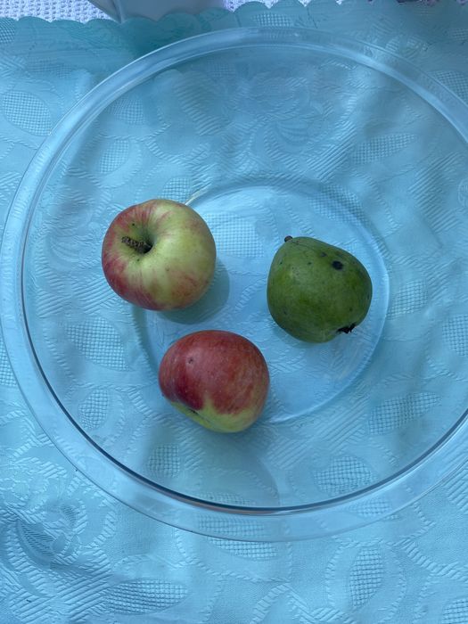 Dwa naczynia żaroodporne za 30zl