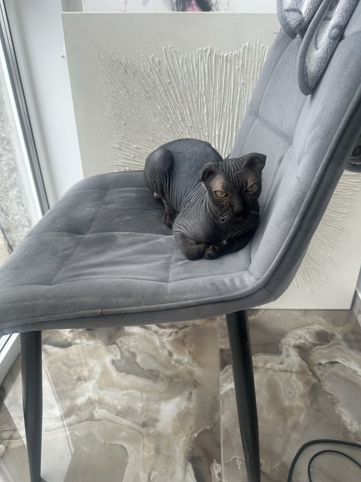 Украінський левкой вʼязка