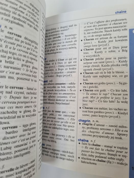 Francusko-polski słownik idiomów