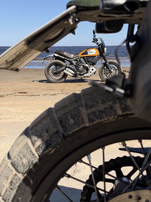 ducati scrambler