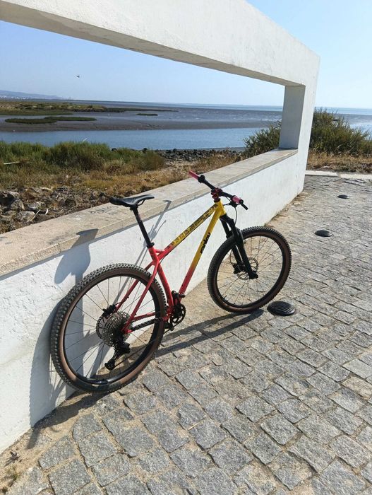ragley big wig 29er