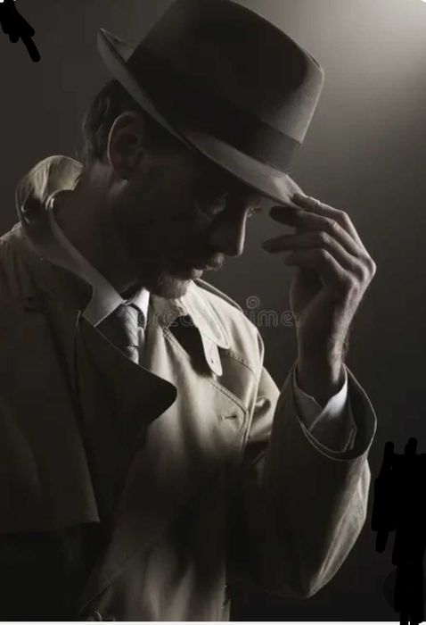 Detetive Particular519633708485201922