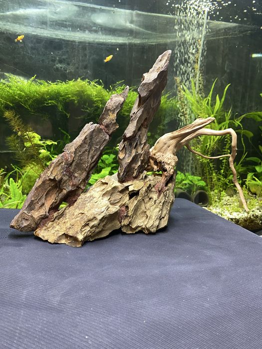 Аквариумная композиция из камня Dragon Stone и коряг азалии