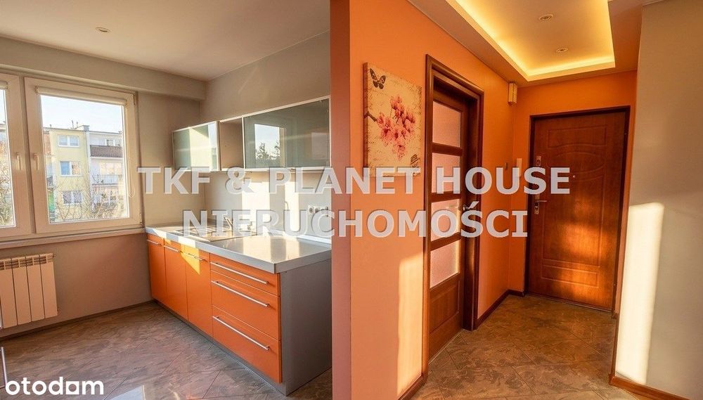 Mieszkanie 58 m²/4 pokoje/4piętro/Tamaszów M. - Widok 6