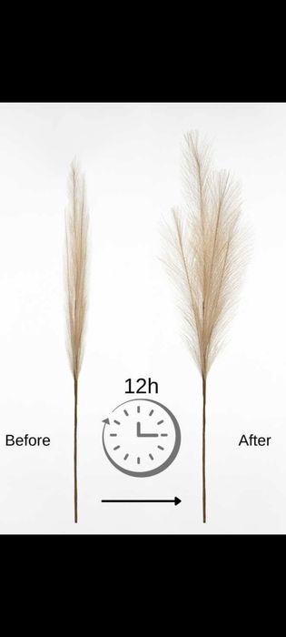 Trawa pampasowa 80 cm – BOHO – zestaw 9 szt. MIX kolorów – PACZKOMAT