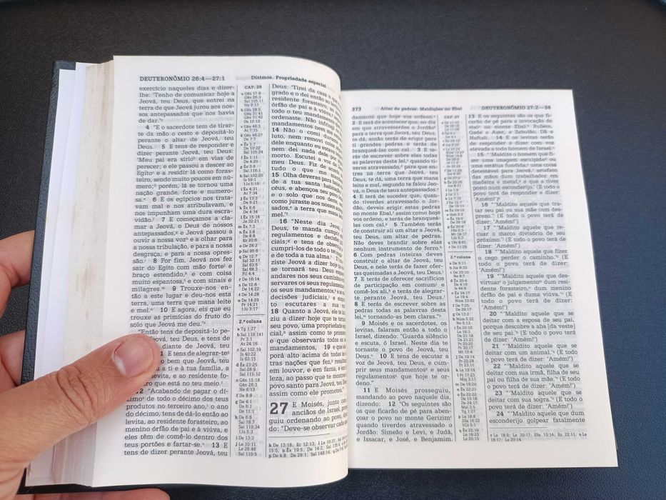 Bíblia "Tradução do Novo Mundo das Escrituras Sagradas"