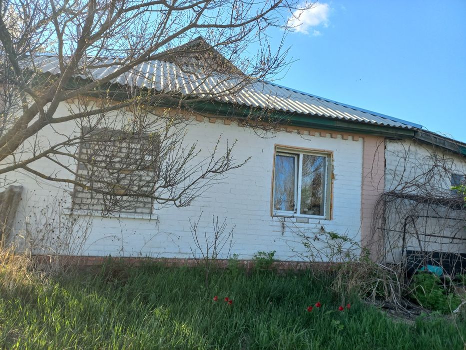 Продається будинок в с.Количівка 8км від Чернігова