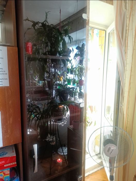 Продам офисный шкаф