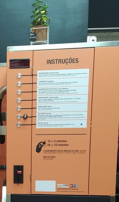 Banheira Self-service Dog Wash