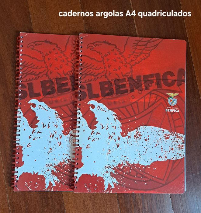 Material escolar diverso NOVO