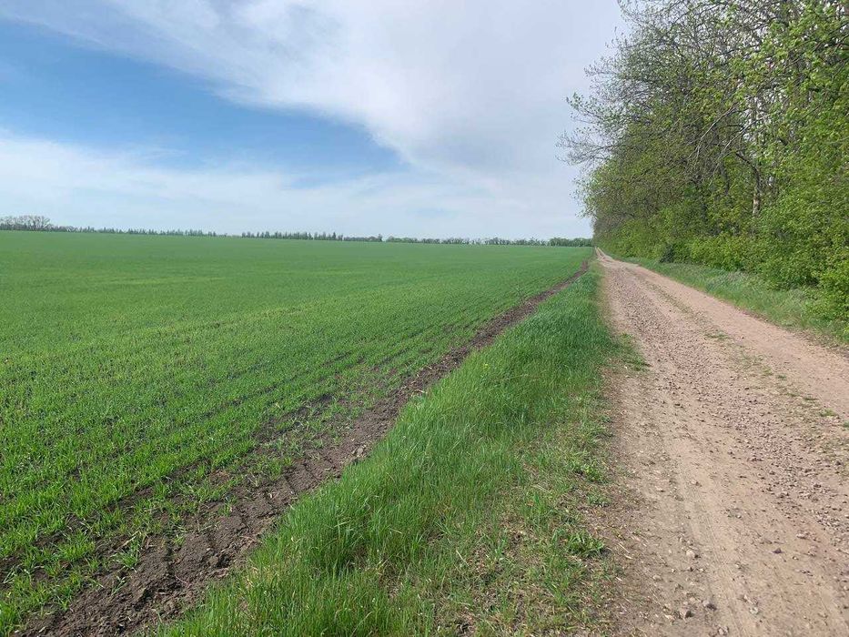 Дачка неподалік Білої Церкви .Ділянка приватизована.